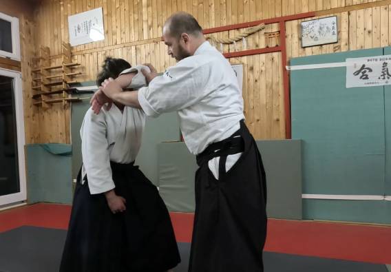 techniques aikido en video